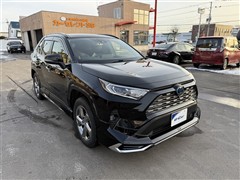 RAV4 ハイブリッドG