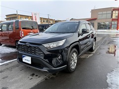 RAV4 G