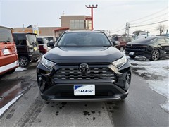 RAV4 G