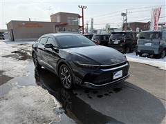 クラウン CO Gアドバ レザー