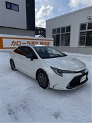 カローラ HV ダブルバイビー