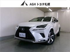 NX300 スパイス&シック 4WD