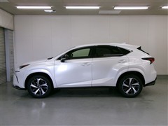 NX300 スパイス&シック 4WD