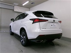 NX300 スパイス&シック 4WD