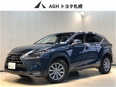 NX300h HV I-PKG 4WD