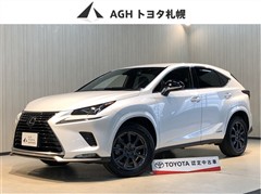 NX300h スパイス&シック 4WD