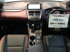 NX300h スパイス&シック 4WD