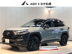 トヨタ　RAV4 HVアドベ オフロード2