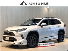 RAV4 G 4WD
