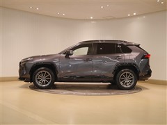 RAV4 PHV Z 4WD