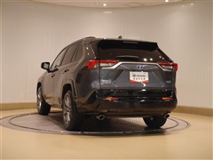 RAV4 PHV Z 4WD