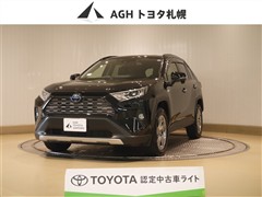 RAV4 HV G 4WD