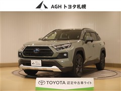 RAV4 HV アドベンチャー4WD