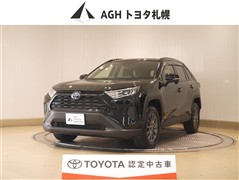 RAV4 HV X 4WD