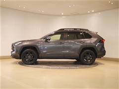 RAV4 AdvオフロードP 4WD