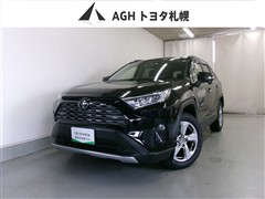 RAV4 G 4WD