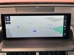 NX300 Fスポーツ 4WD