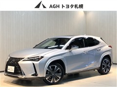 UX250h VER-C 4WD