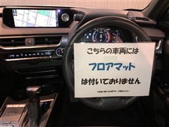 UX250h VER-C 4WD