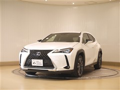 UX250h VER-L 4WD