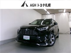 RAV4 G