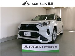 RAV4 HV X 4WD