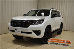 ランクルプラドTX L  BL ED