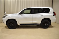 ランクルプラドTX L  BL ED