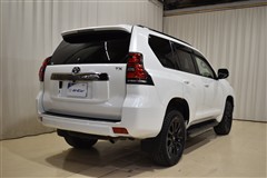 ランクルプラドTX L  BL ED