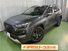 トヨタ RAV4 HV アドベンチャー4WD