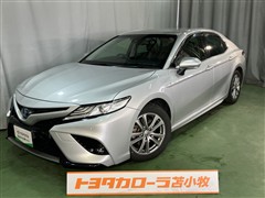 カムリ WS