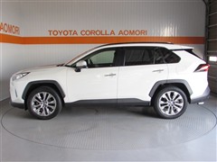RAV4 4WD G Zパッケージ