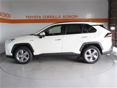 RAV4 4WD HV G