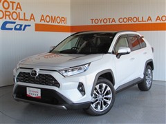 トヨタ RAV4 4WD GZ PK
