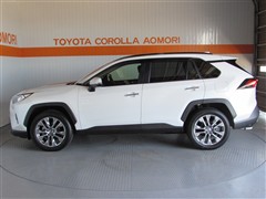 RAV4 4WD GZ PK