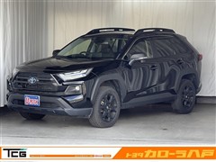 トヨタ RAV4 HVアドベ オフロード2