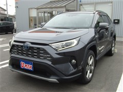 トヨタ RAV4 ハイブリッドG 4WD