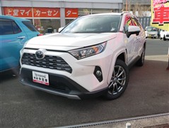 RAV4 G