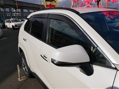RAV4 G