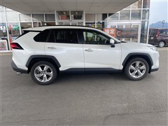 RAV4 G