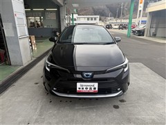 カローラツーリングHEV W*B