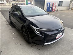 カローラツーリングHEV W*B