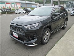 トヨタ RAV4 ハイブリッドG