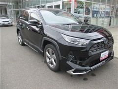 RAV4 ハイブリッドG