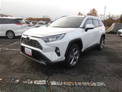 RAV4 G