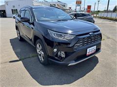 RAV4 ハイブリッドG