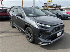 RAV4 G HEV E-FOUR