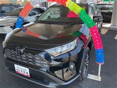 トヨタ RAV4 G
