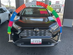 RAV4 G