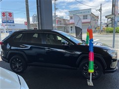 RAV4 G